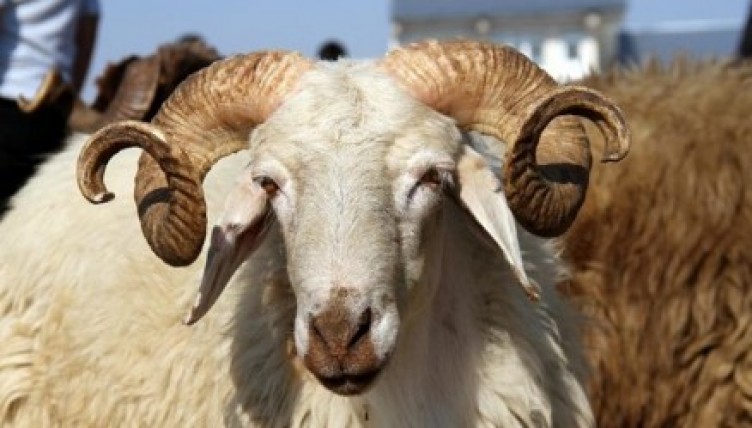 Kurban bayram tatili kaç gün?