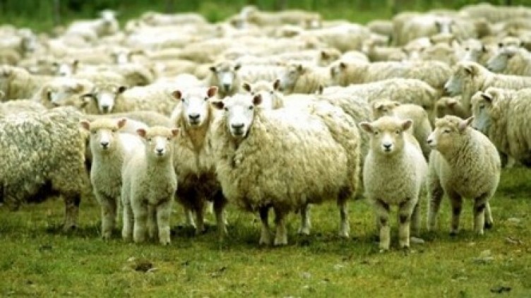 Kurban bayram tatili kaç gün?