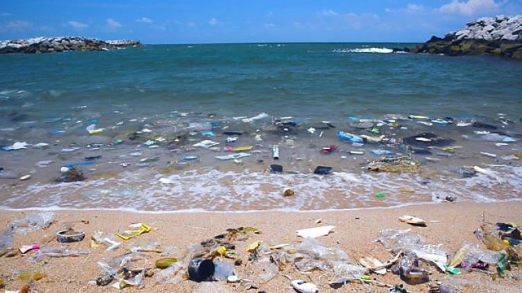 Maalesef 'normal'leştik! Deniz kıyısı pislik içinde