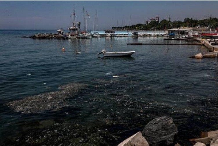 Maalesef 'normal'leştik! Deniz kıyısı pislik içinde