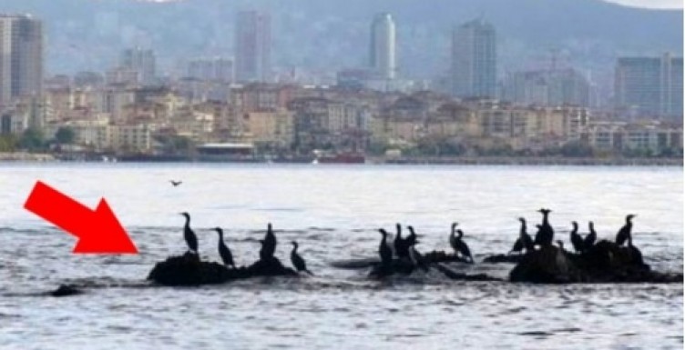 İstanbul'un tam ortasında! Depremle sulara gömülen kayıp ada Vordonisi keşfedildi