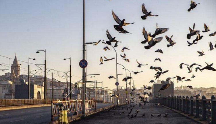 Cumhurbaşkanı Erdoğan yanıtladı: Şehirlerarası seyahat yasağı geldi mi? İşte hafta sonu sokağa çıkma yasağı saatleri