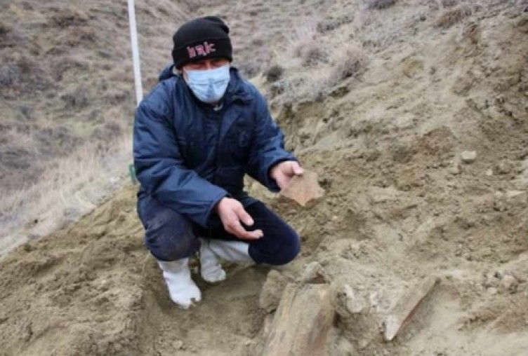 Köylüler su ararken mamut yada file ait olduğu düşünülen taşlar buldular!