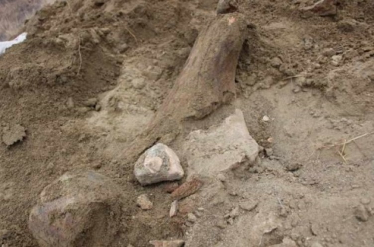 Köylüler su ararken mamut yada file ait olduğu düşünülen taşlar buldular!