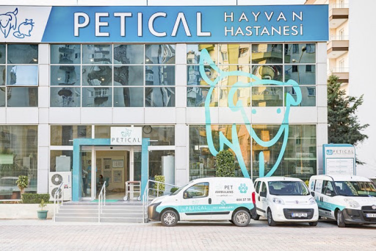 Türkiye'deki hayvan hastaneleri
