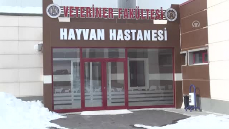 Türkiye'deki hayvan hastaneleri