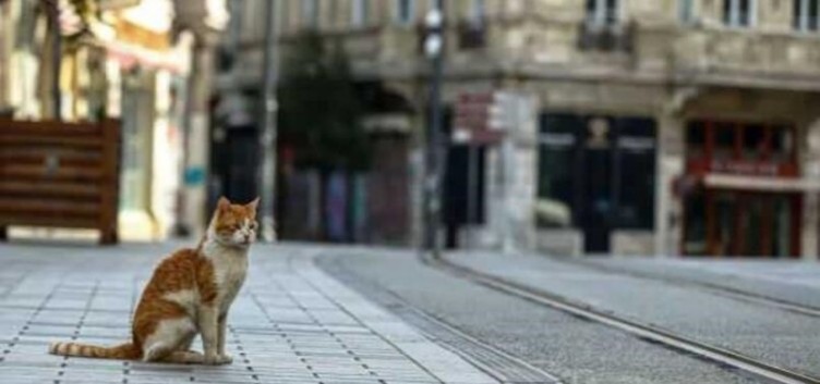 Hafta sonu sokağa çıkma yasağı var mı? 27 Mart ve 28 Mart günü hangi illerde sokağa çıkma yasağı olacak?