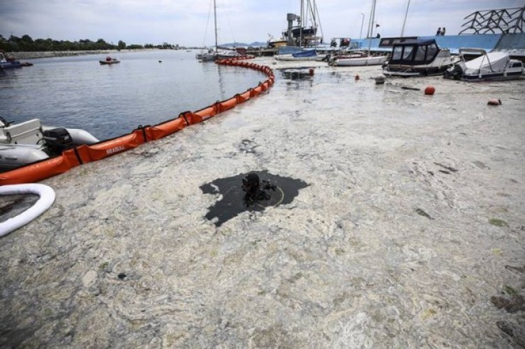 Marmara Denizi’ndeki kirliliğin nedenleri belli oldu: İşte müsilaja neden olan etkenler