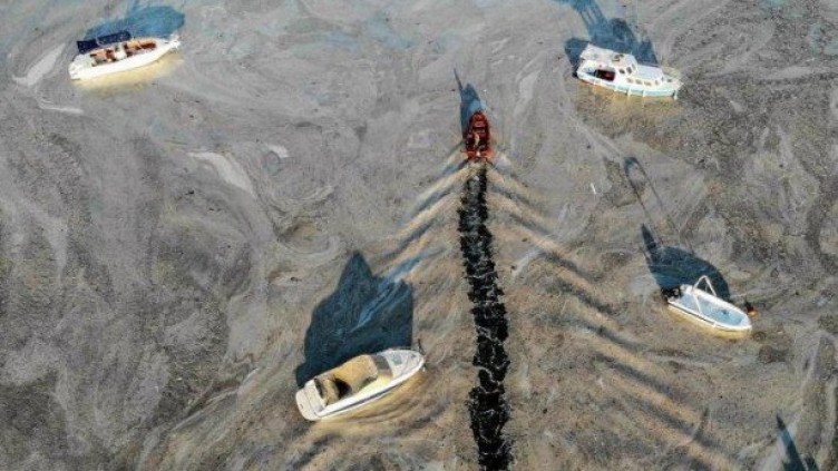 Marmara Denizi’ndeki kirliliğin nedenleri belli oldu: İşte müsilaja neden olan etkenler