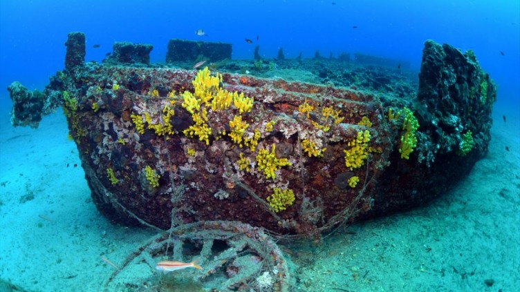 Çanakkale Savaşları'ndan kalma 108 yıllık batık gemiler görüntülendi