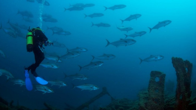 Çanakkale Savaşları'ndan kalma 108 yıllık batık gemiler görüntülendi