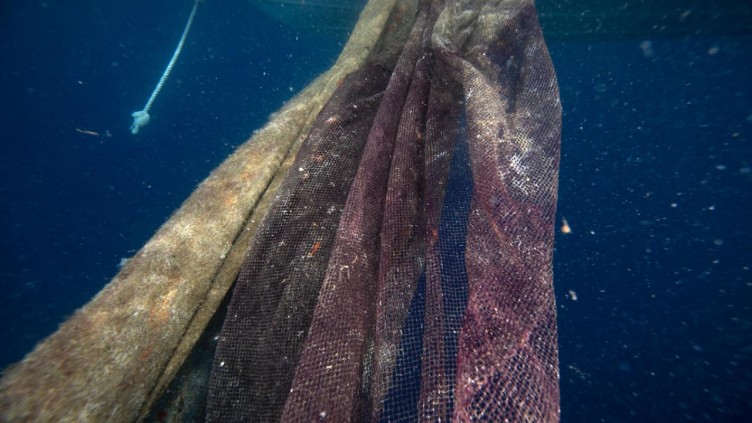 Deniz canlılarının katili: Hayalet ağlar!