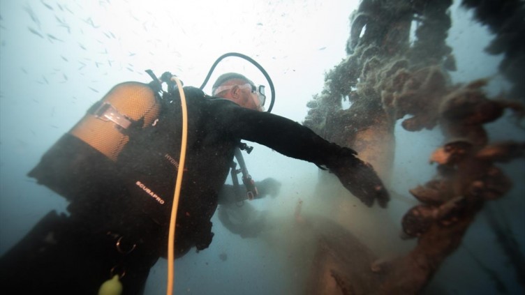 Deniz canlılarının katili: Hayalet ağlar!