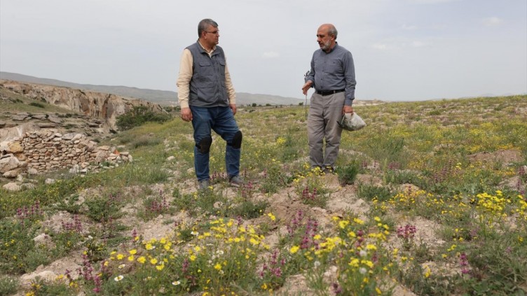 Kapadokya'da 3 endemik bitki türü keşfedildi