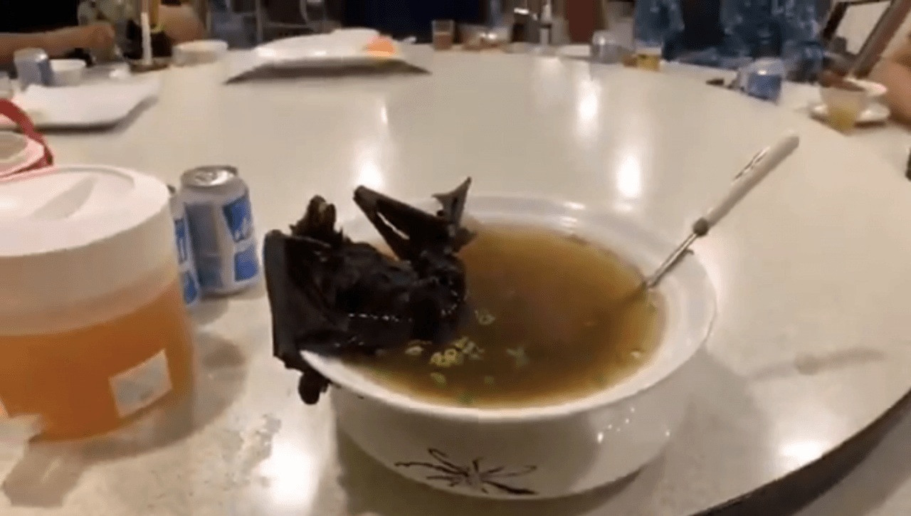 Китайское блюдо с летучей мышью