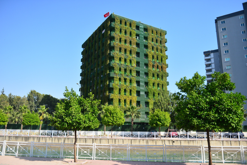 adana da sarmasik kapli bina ilgi goruyor gundem haberleri