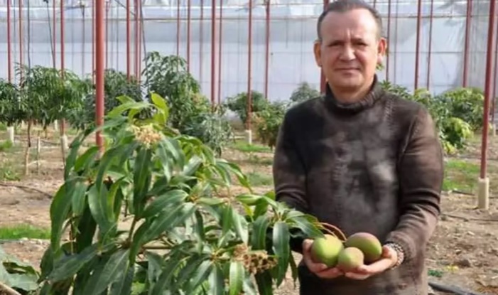 'Meyvelerin kralı' deniliyor: Bahçede tanesi 40 lira