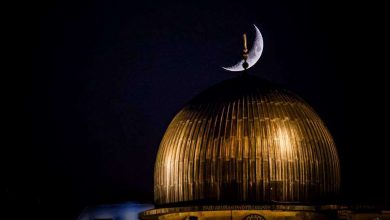 İslam dünyasında yaşanan ilmi ve entelektüel sorunlar İstanbul’da ele alındı