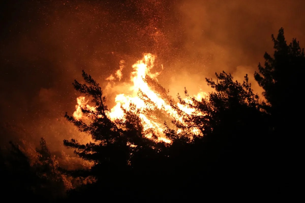 Hatay ve Mersin yangınlarında son durum