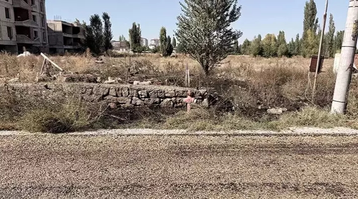 Evinin önündeki ot yangınında yaşamını yitirdi