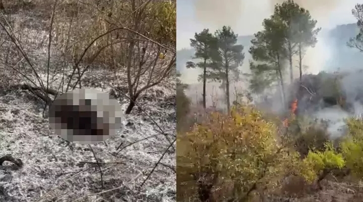 Temizlik için ateş yaktığı bahçede alevlerin arasında kalıp öldü