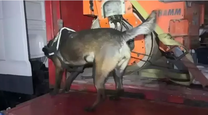 TIR'a yüklü asfalt silindir makinesine gizlenmiş 102 kilo metamfetamin ele geçirildi