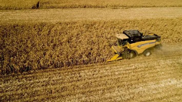 Tarım ürünleri üretici fiyatları aylık yüzde 1,56 azaldı