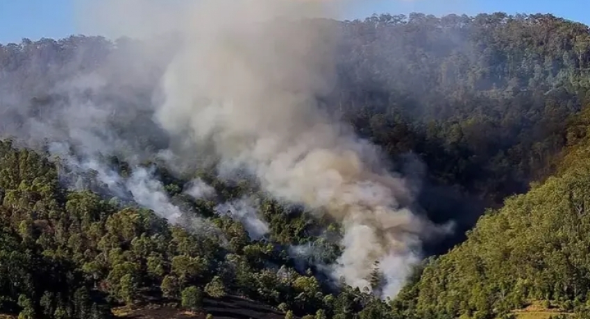 Avustralya'da 50'den fazla orman yangını çıktı