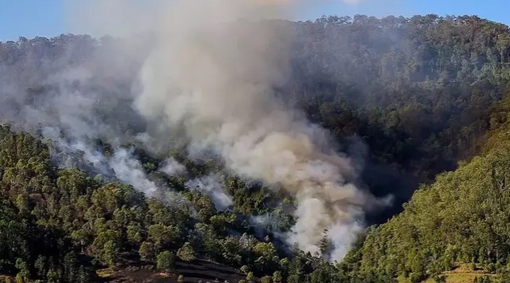 Avustralya'da 50'den fazla orman yangını çıktı