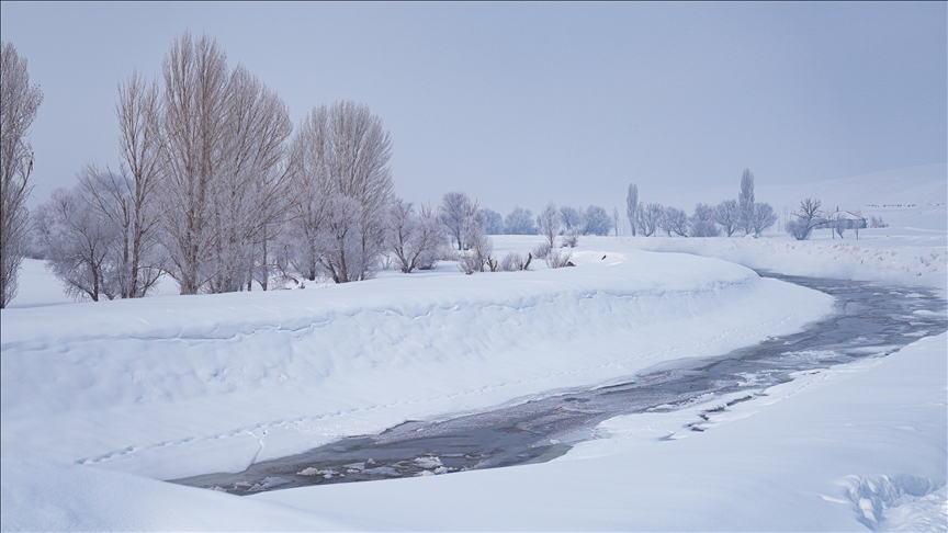 Erzurum, Van, Ağrı ve Muş'ta kar nedeniyle eğitime bir gün ara verildi