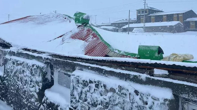 Çatısında kar biriken 2 ahır çöktü; 4 büyükbaş hayvan öldü
