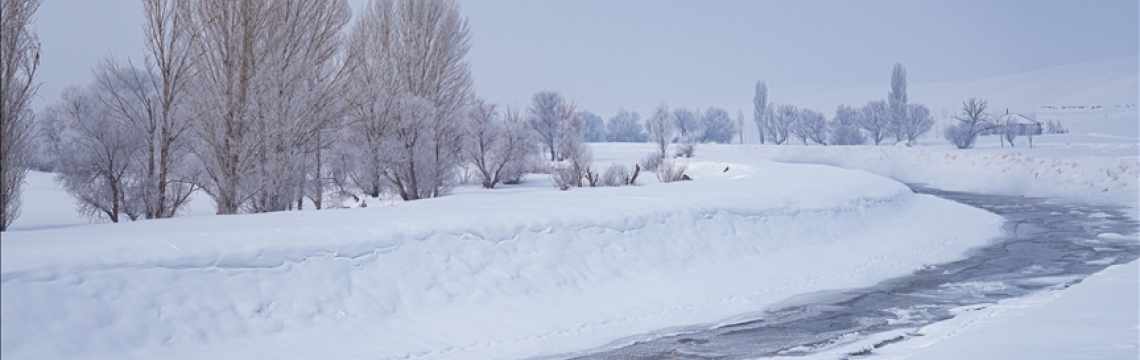 Erzurum, Van, Ağrı ve Muş'ta kar nedeniyle eğitime bir gün ara verildi
