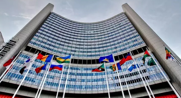 IAEA'dan nükleer güvenlik riskini önlemek için itidal çağrısı