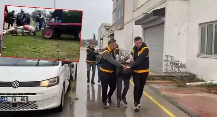 Koşmadığı gerekçesiyle ata şiddet uygulayıp bayıltan 2 şüpheli gözaltında