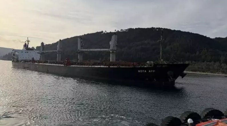 Çanakkale Boğazı’nda makine arızası yapan dökme yük gemisi karaya oturdu