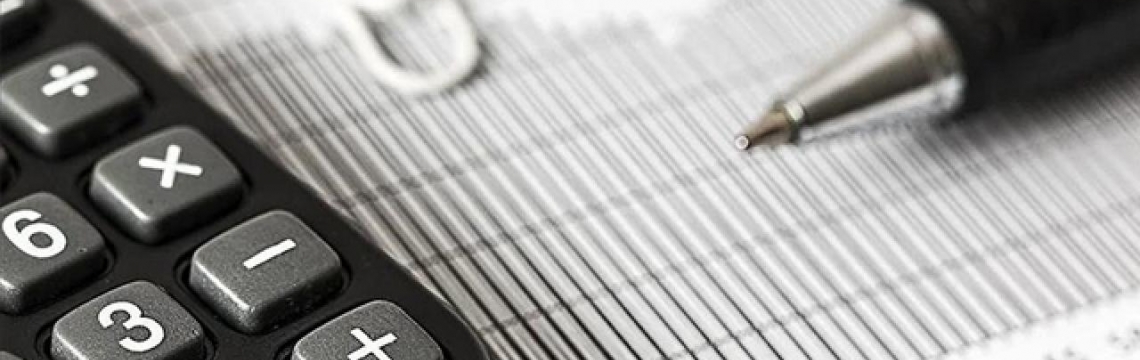 Mezat düzenleyenler Maliye'nin radarına girdi