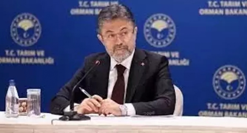 Türkiye, Hint Okyanusu Ton Balığı Komisyonu'nda gözlemci ülke oldu