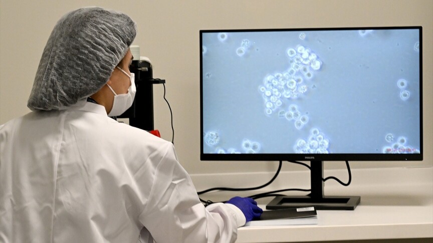 Türkiye'de kan kanseri hastaları için "hücre" tedavisi dönemi başladı