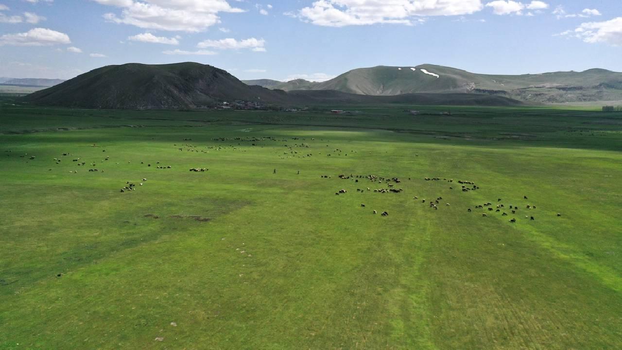 Bakanlıktan Kars'taki "mera yasağı" iddialarına yalanlama