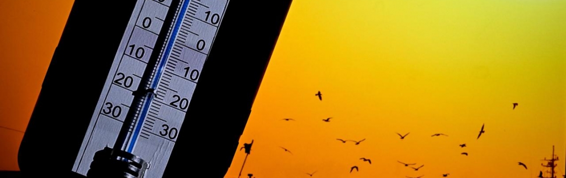 Bahar geliyor: Sıcaklıklar 8 derece birden artacak