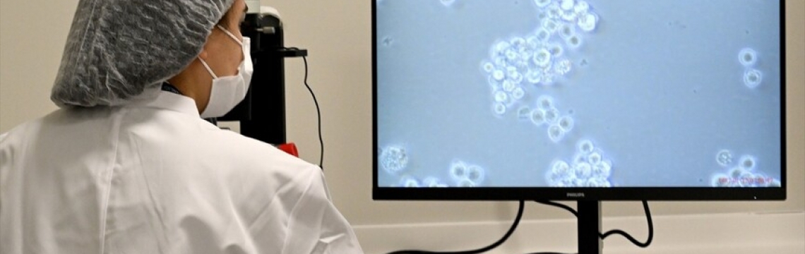 Türkiye'de kan kanseri hastaları için "hücre" tedavisi dönemi başladı