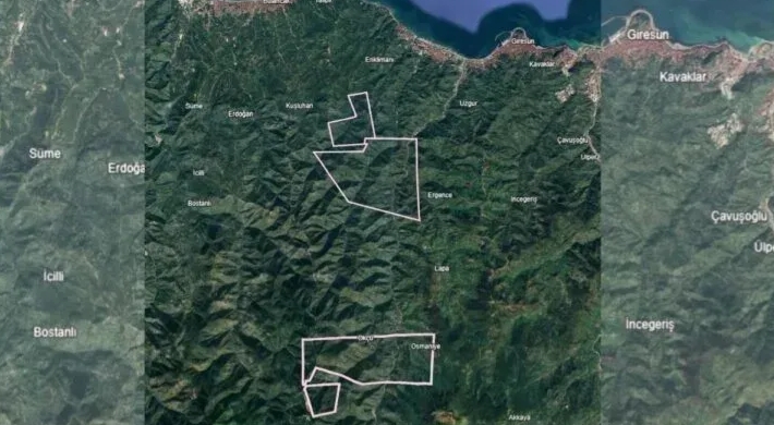Giresun yağlı fındığı risk altında! Giresun'da maden sahası köyleri ve bahçeleri tehdit ediyor!