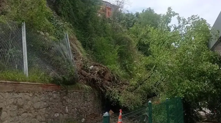 Terminal bölgesinde heyelan; yıkılan ağaç, peronlara devrildi