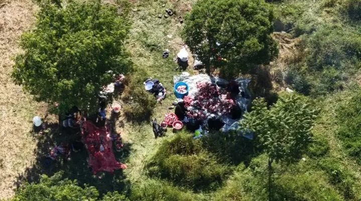Sultangazi'de kurbanlıkları yol kenarları ve parklarda kestiler