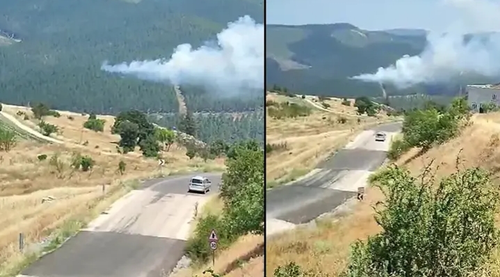 Bursa'da orman yangını