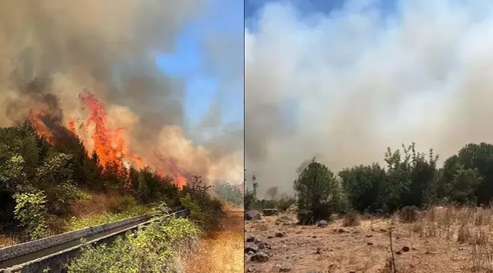Balıkesir Sındırgı’da orman yangını