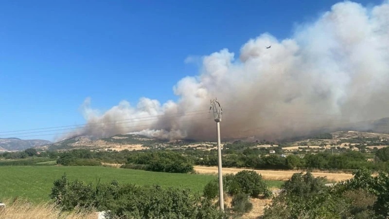 Çanakkale'de orman yangını