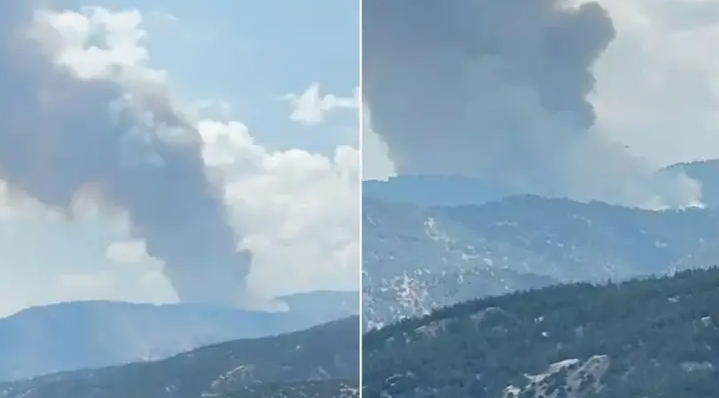Aydın'da orman yangını