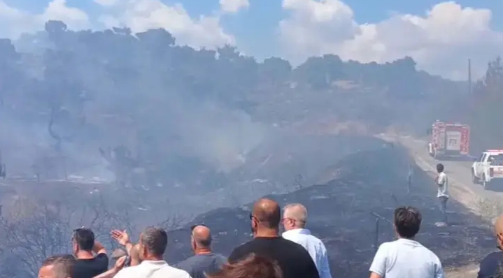 Balıkesir'de orman yangını