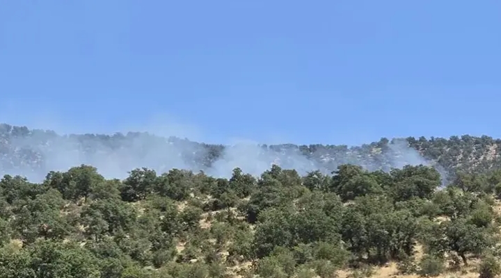 Konya'da orman yangını